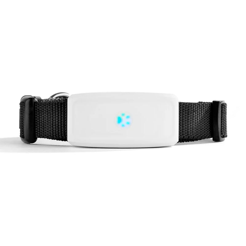 MyPet™ Obojek s GPS pro psy a kočky