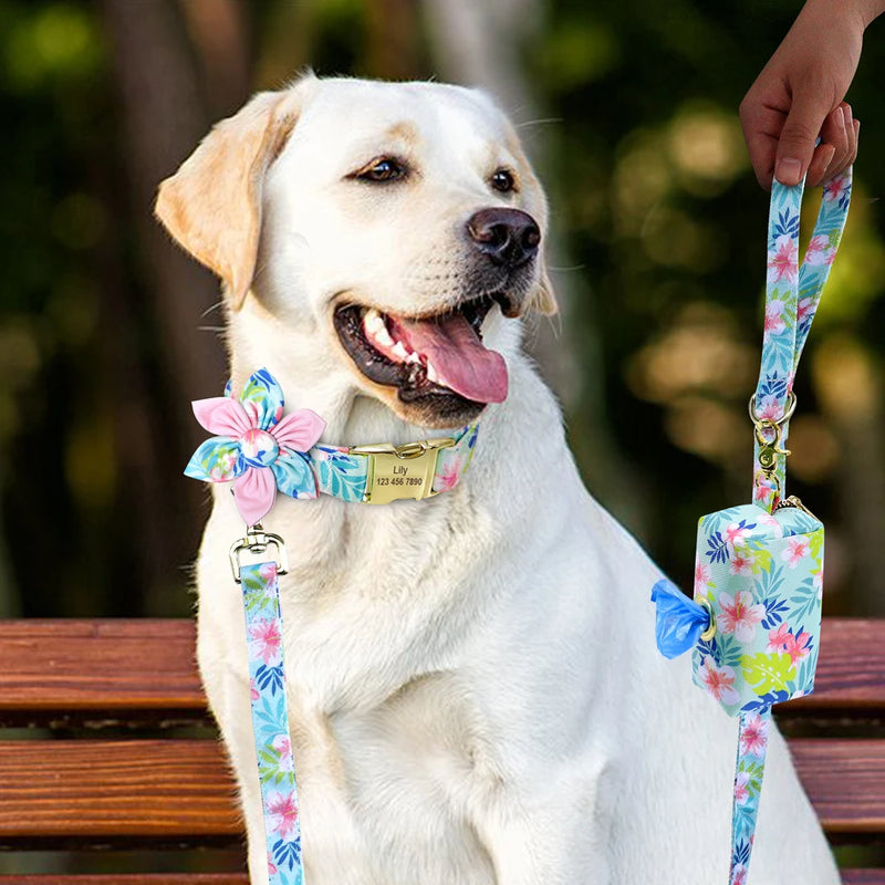 DoggyStyle™ Designové vodítko pro psy s taškou na pamlsky - více variant