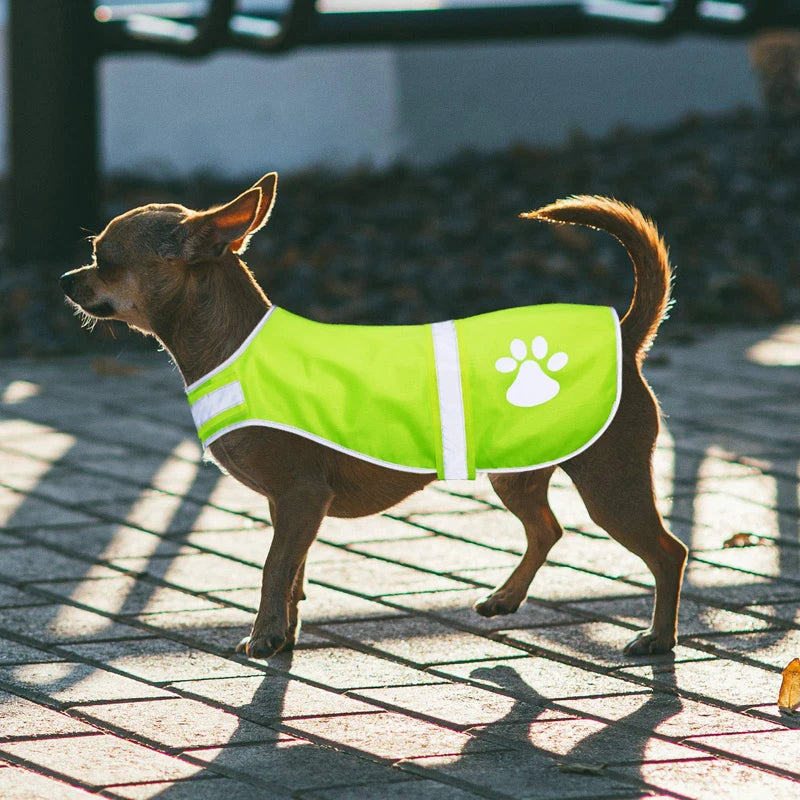 DoggyStyle™ Designový reflexní obleček pro psy - více variant