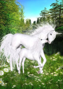 49761884897617|49761885815121|49761887551825|49761888272721