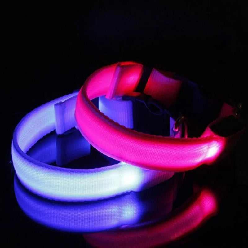 LED svítící obojek pro psy - více variant