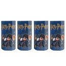 Velký Blind Box Harry Potter