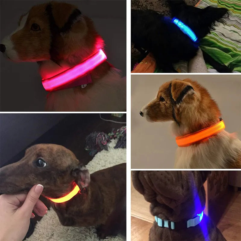 PremiumDog™ Reflexní obojek pro psy - více variant