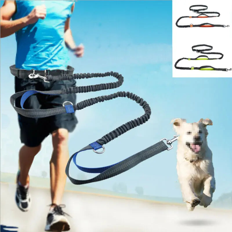 PremiumDog™ Elastické vodítko pro psa na běhání - více variant