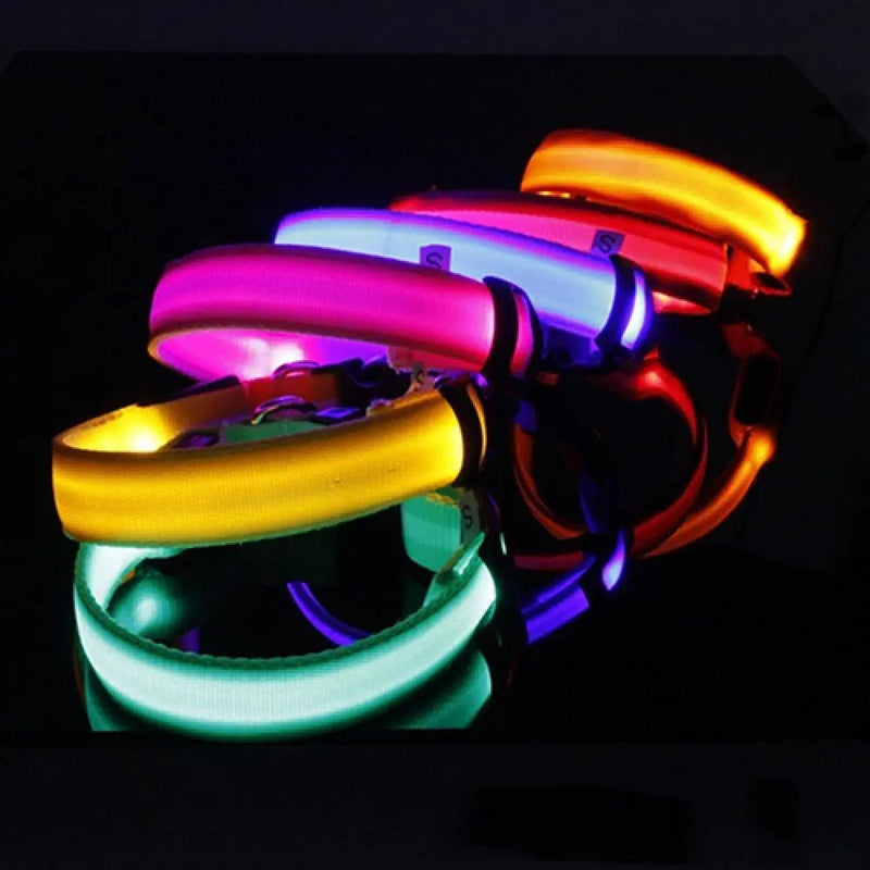 LED svítící obojek pro psy - více variant