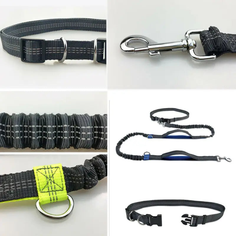 PremiumDog™ Elastické vodítko pro psa na běhání - více variant