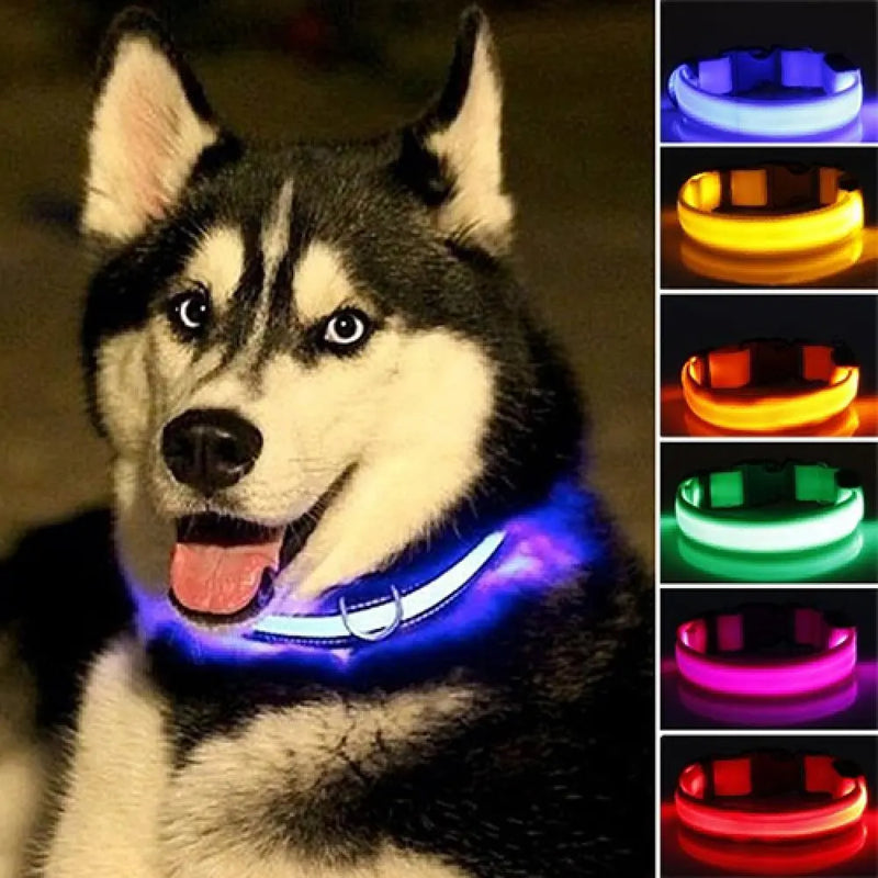 LED svítící obojek pro psy - více variant