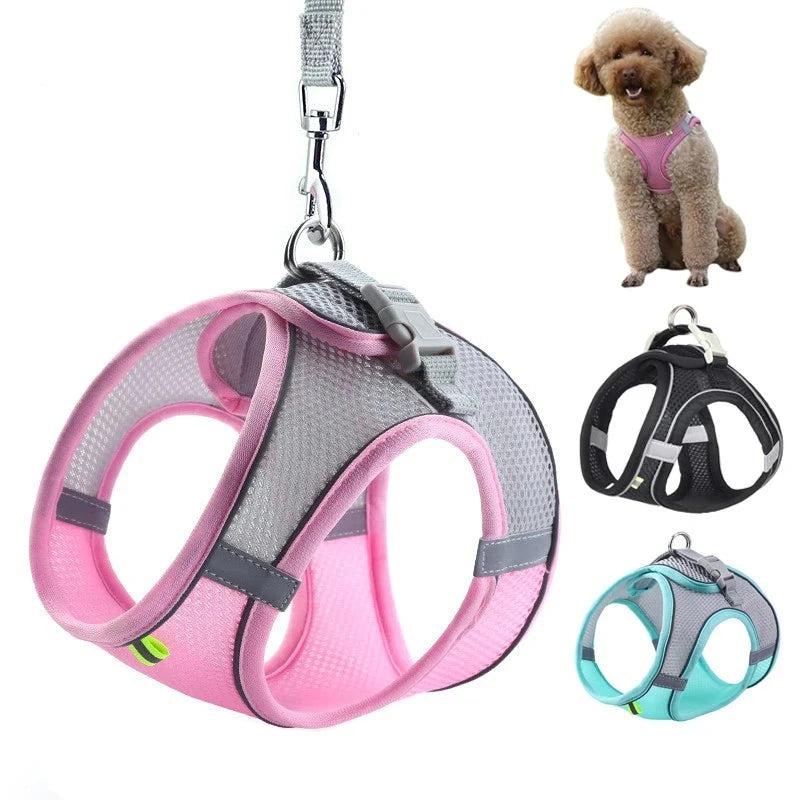 Designový postroj pro psy Doggy™ - více variant