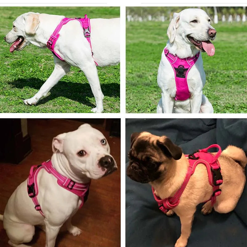 MyDog™ Komfortní reflexní postroj pro psy - více variant