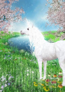 49761884766545|49761885651281|49761885684049|49761887355217