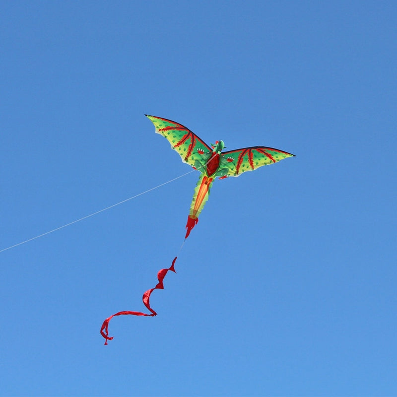 Létající kreslený drak