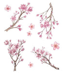 Tetování broskvový květ pro malé i velké - více variant